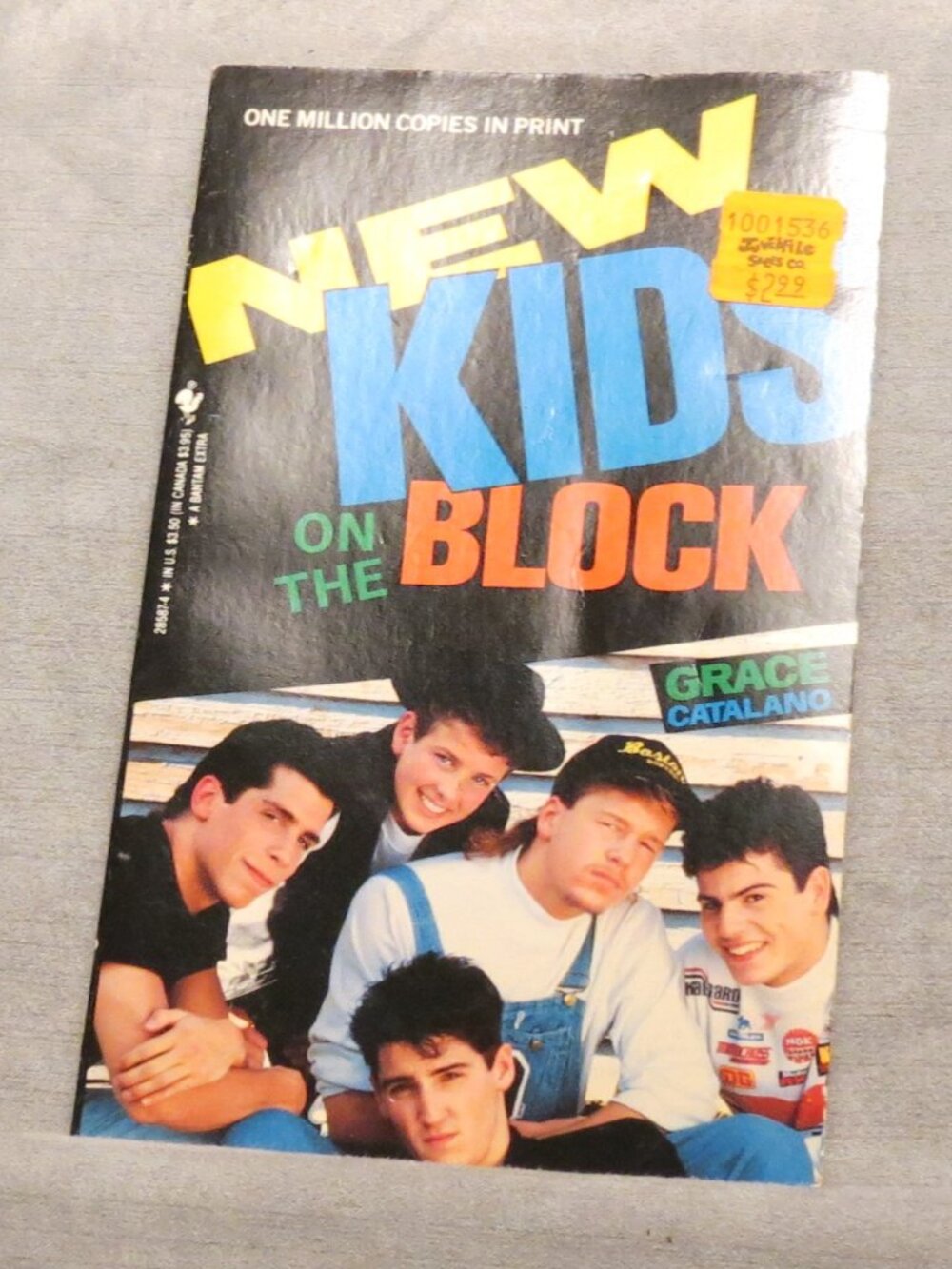 New Kids on the Block NKOTB Biography Book 1989 Grace Catalano Bantam Vintage